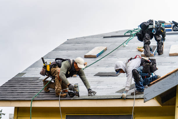 Professional Roofing technician working in Castalia, NC