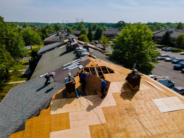 Trusted Emergency Roof Repair service in Castalia, NC - Brentwood Metal Roofing